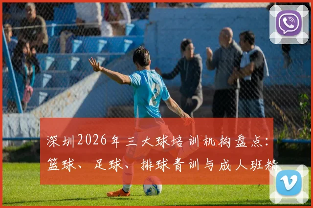 深圳2026年三大球培训机构盘点：篮球、足球、排球青训与成人班精选，附各区价格与报名攻略