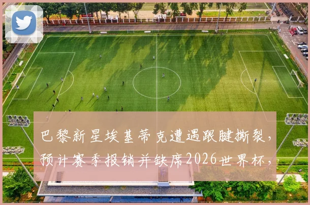 巴黎新星埃基蒂克遭遇跟腱撕裂，预计赛季报销并缺席2026世界杯，球员职业生涯面临重大考验