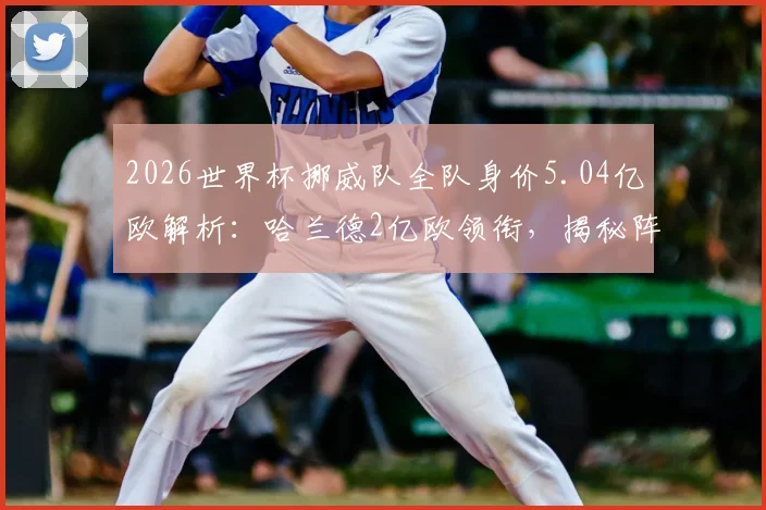 2026世界杯挪威队全队身价5.04亿欧解析:哈兰德2亿欧领衔,揭秘阵容价值与争冠前景